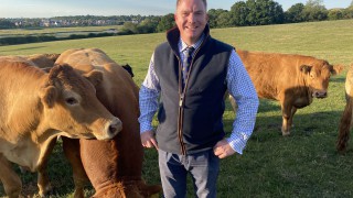 New breed secretary appointed at the British Limousin Cattle Society