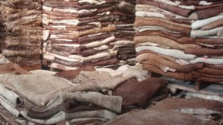 Global fall in co-product demand knocks domestic farm-gate prices