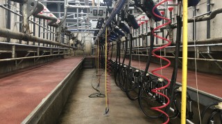 GDT index plummets in latest auction