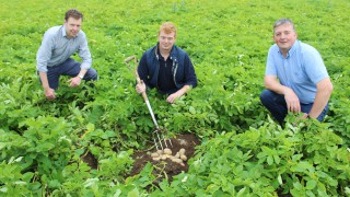 Lockdown leads to resurgence in potato consumption across NI