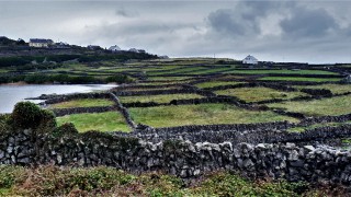 Field names project ploughs ahead with fascinating insights