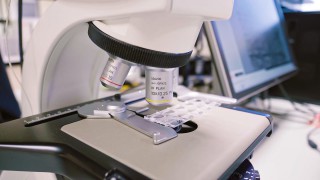 AFBI is investing in plant scientists