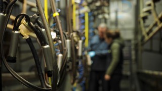 GDT index drops slightly for fourth consecutive fall