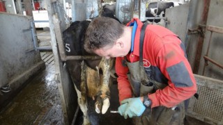 CAFRE’s Technology Demonstration Farms get up and running again