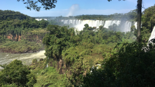 Mercosur trade deal ‘fails sustainability criteria’ – Oxford University