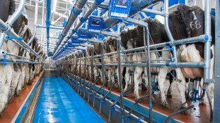 GDT index records slight rise to mark 3rd consecutive increase