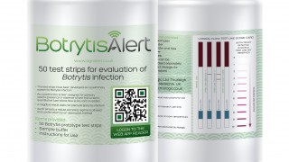 Rapid diagnostic test for Botrytis launched