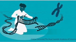 Researchers who can change DNA of animals win Nobel Prize