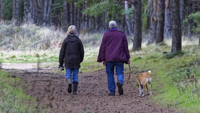 Dog owners have been urged to keep their pet on a short lead to protect livestock