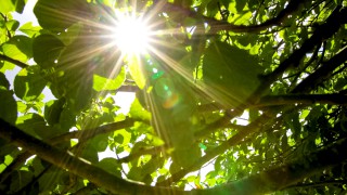 Average temperature in Europe from September to November is highest on record