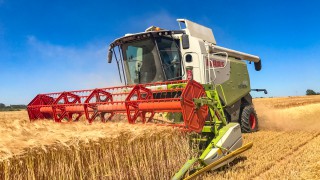 ‘Agriculture must produce more food’ – former NFU president