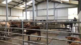 Have you tested your building’s airflow?