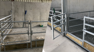 Slatted or dry bedded housing for sheep: What questions do I need to ask myself before deciding?