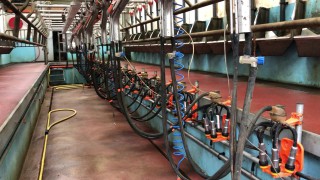 5 in a row for GDT as latest auction sees another index boost