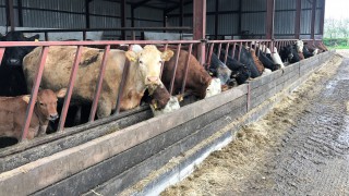 Having all the essentials ready for the calving season