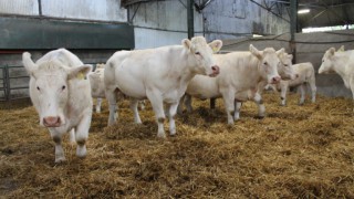 ‘Expect the unexpected when it comes to scanning dates’