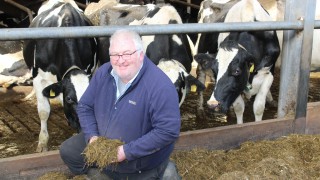 Why milk 2 cows when one Holstein will do?