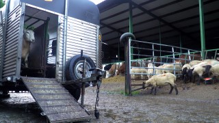 Making the most of scanning day: What other jobs can be carried out?