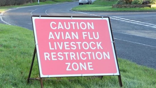 Avian Influenza Prevention Zone