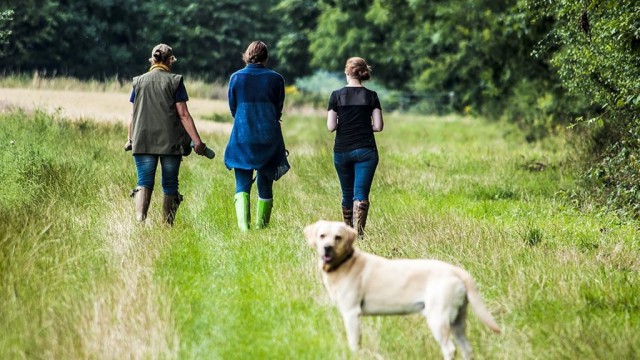 dog nfu livestock bill code