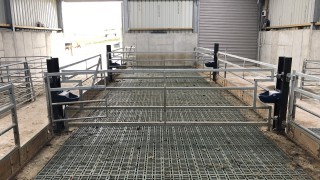 Key considerations to take into account when housing ewes