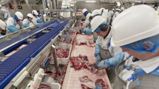 Cranswick Country Foods: Company growth is ‘ahead of previous expectations’