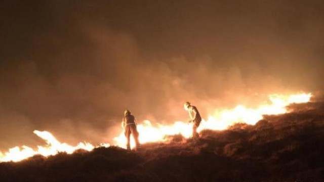 wildfire