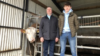 Beef Focus: Sourcing and handling AI bulls at Coney Island Genetics