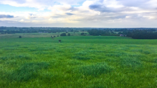 Don’t overlook the importance of sulphur