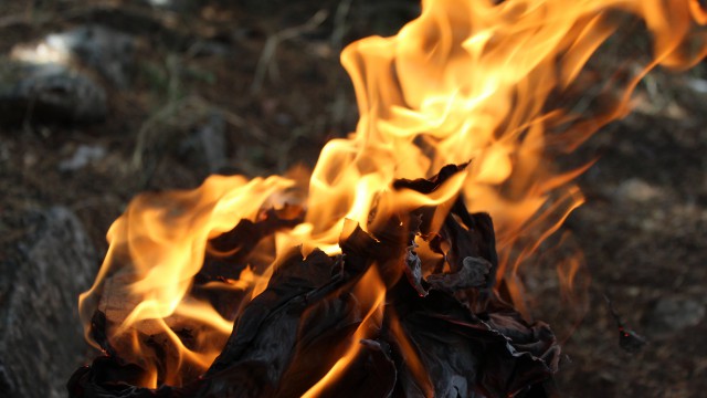 wildfires