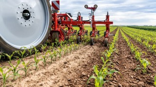 ‘Space to grow’: Steketee sees 30% increase in sales for 2020