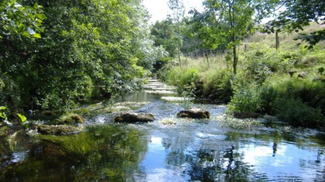 river basin management