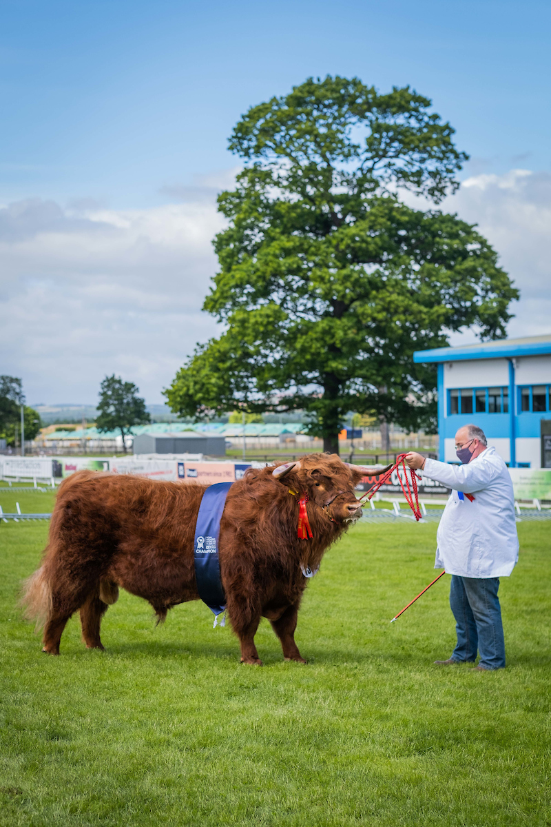 Royal Highland Showcase