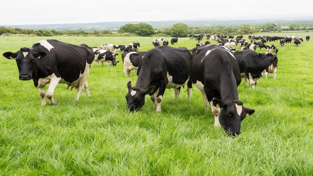 Total Income From Farming In England Decreases By 10 Agriland co uk