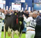 RUAS Winter Fair to be streamed online