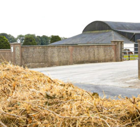 FUW calls for £450m per year to fund agri and rural development