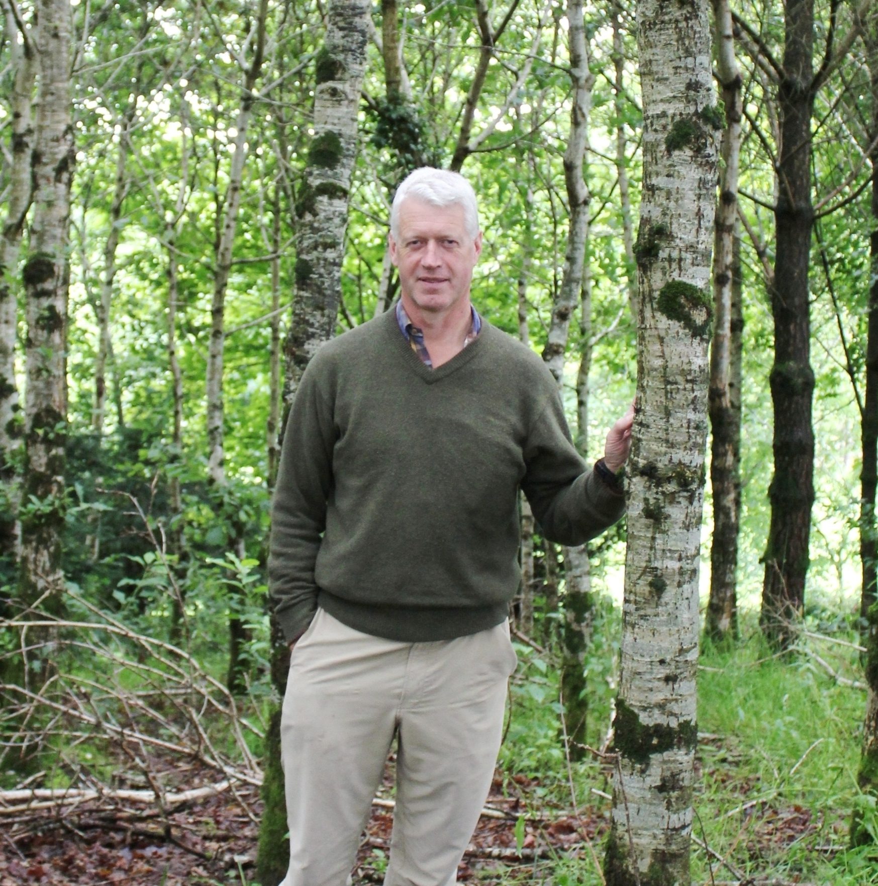 Tree Planting Policy For NI Described As not Fit For Purpose 