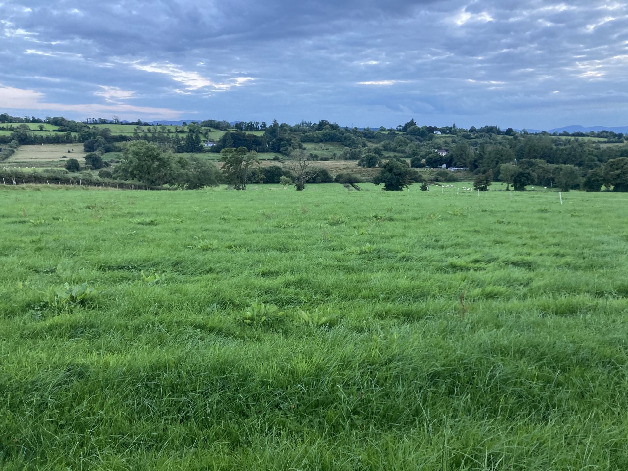 Building Grass Now For Next Spring Agriland co uk building-grass-now-for-next-spring-agriland-co-uk