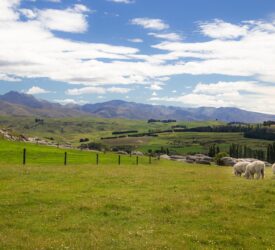£20k food and farming prize launched