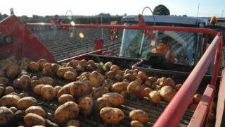 Morrisons commits £1.6bn to British farming for 2026