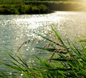 Defra warns capital grants applications may exceed £225m funding