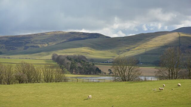 Concerns raised over Scotland's £660m farming budget
