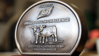 Teens to compete in ABP Angus Young Challenge semi-final