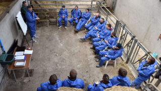 NI farmers offered beef farm study tour