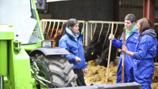 Minister announces ‘phased return’ of face-to-face industry support by CAFRE