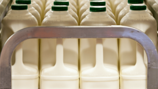 UK dairy industry unites to launch £1 million consumer campaign