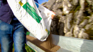 New TV show hopes to get NI farmers ‘Coortin’ In the Kitchen’