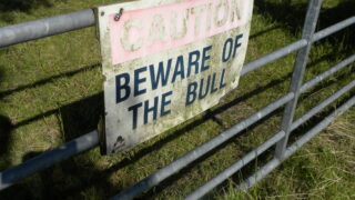 NI survey to delve deep into on-farm safety practices