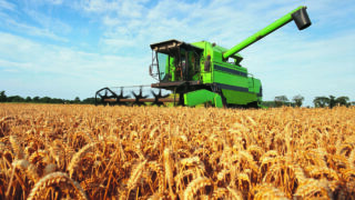Greening requirements to be scrapped in NI from 2021