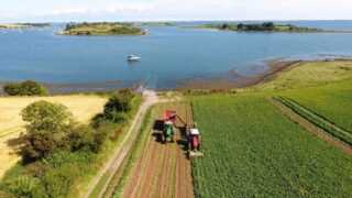 NI grower launches online shop for value-added veg